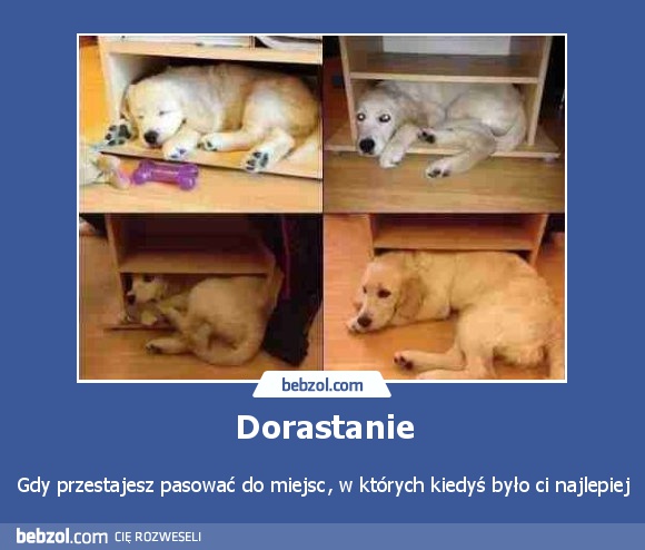 Dorastanie