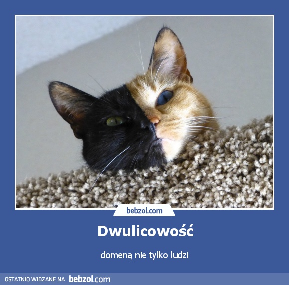 Dwulicowość