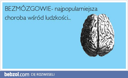 Bezmózgowie