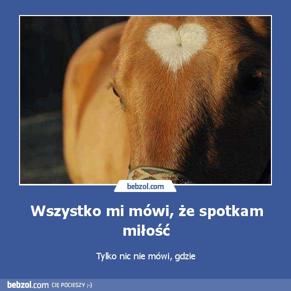 Wszystko mi mówi, że spotkam miłość