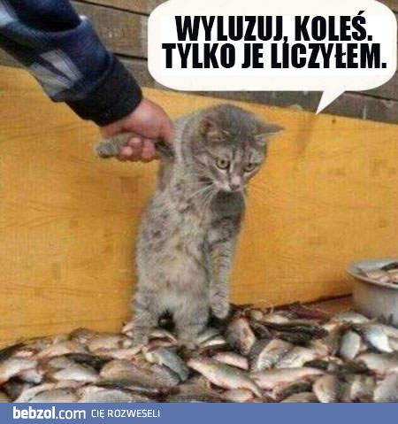 Wyluzuj koleś!