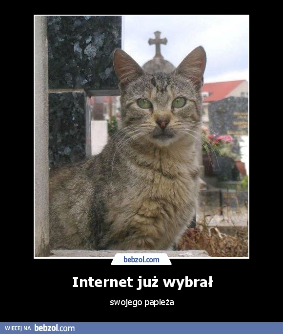 Internet już wybrał