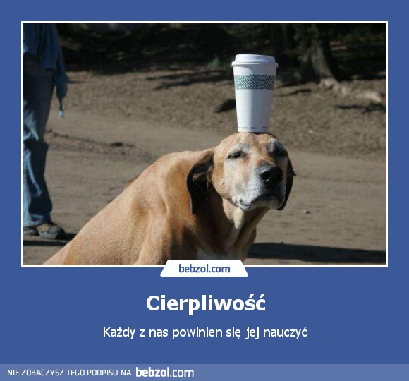 Cierpliwość