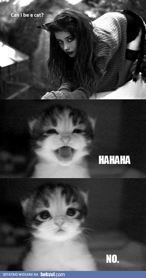 Mogę być twoim kotkiem?