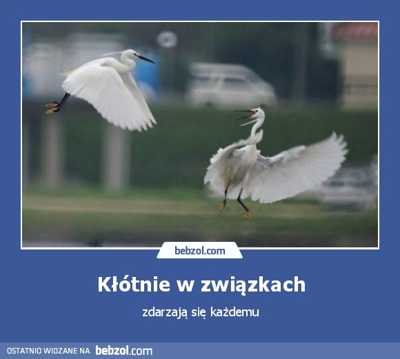 Kłótnie w związkach