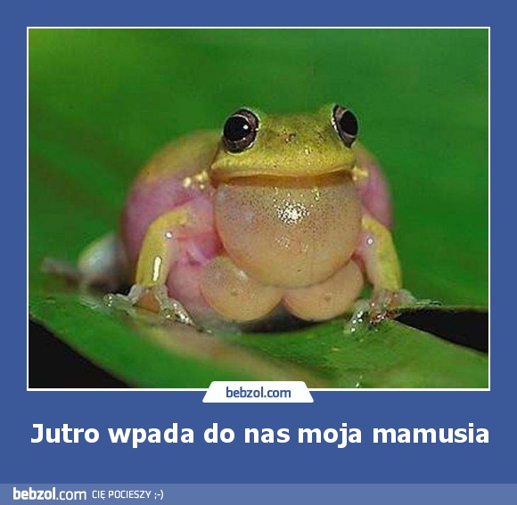 Jutro wpada do nas moja mamusia