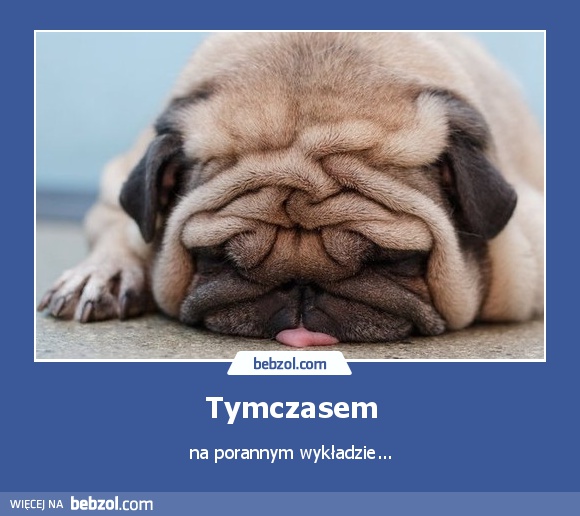 Tymczasem