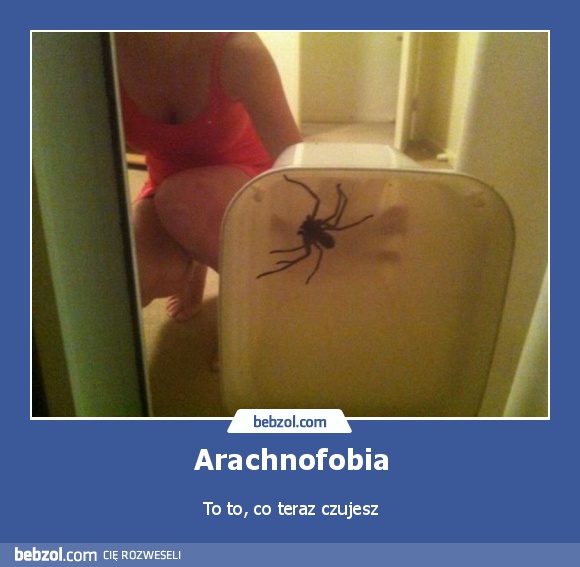 Arachnofobia