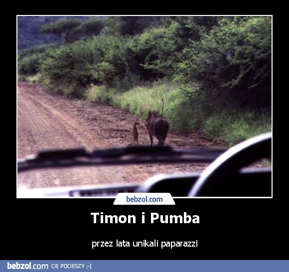 Timon i Pumba