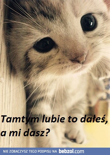 Polub proszę