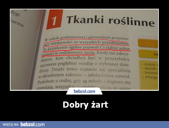 Dobry żart
