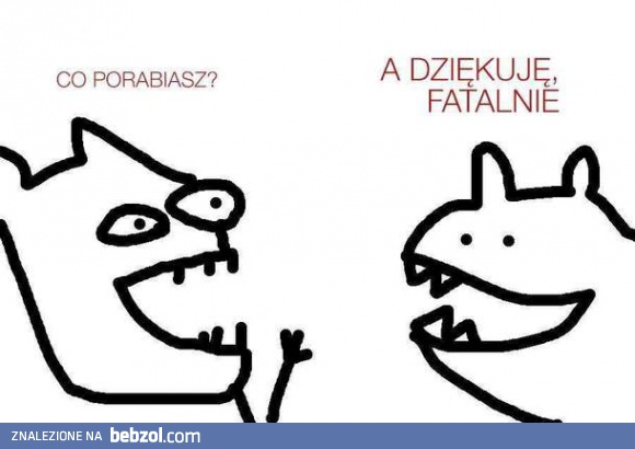 Co porabiasz?