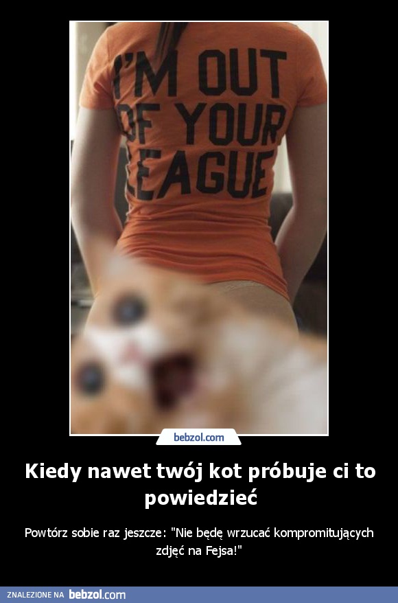 Kiedy nawet twój kot próbuje ci to powiedzieć