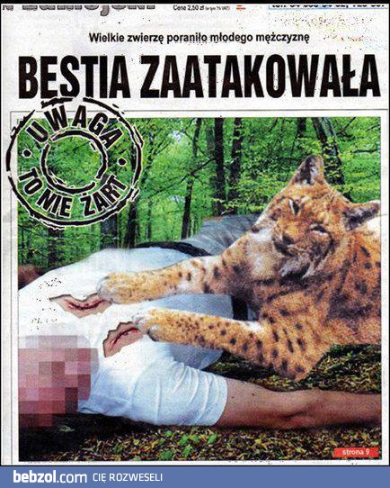 Bezlitosny atak bestii