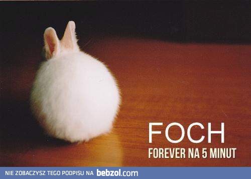 Foch forever
