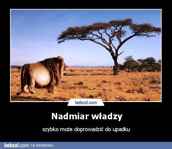 Nadmiar władzy