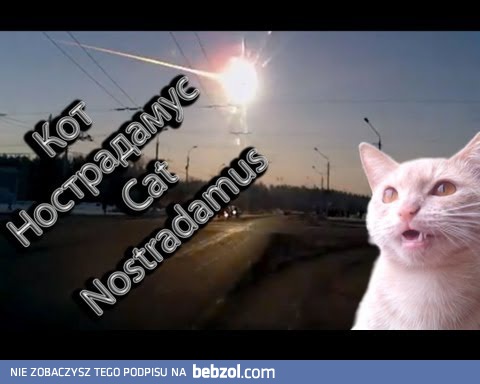 Kot przewidział upadek meteorytu w Rosji