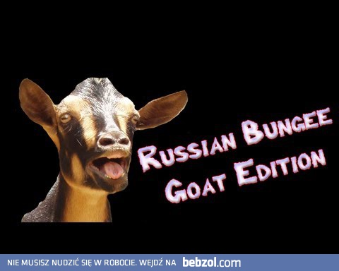 Russian bungee jump - Goat Edition