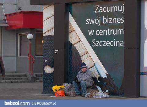 Biznes w Szczecinie