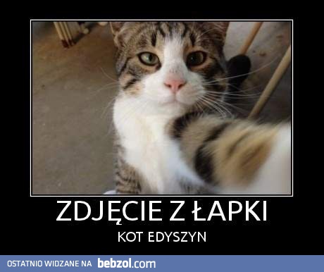 Zdjęcie z łapki