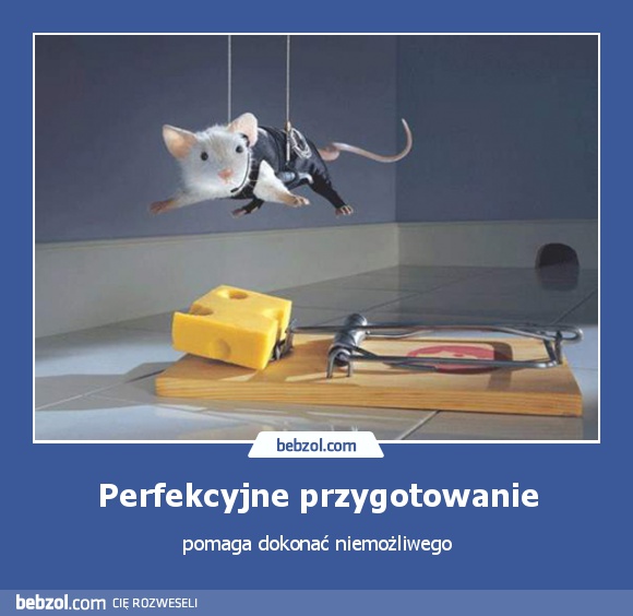 Perfekcyjne przygotowanie