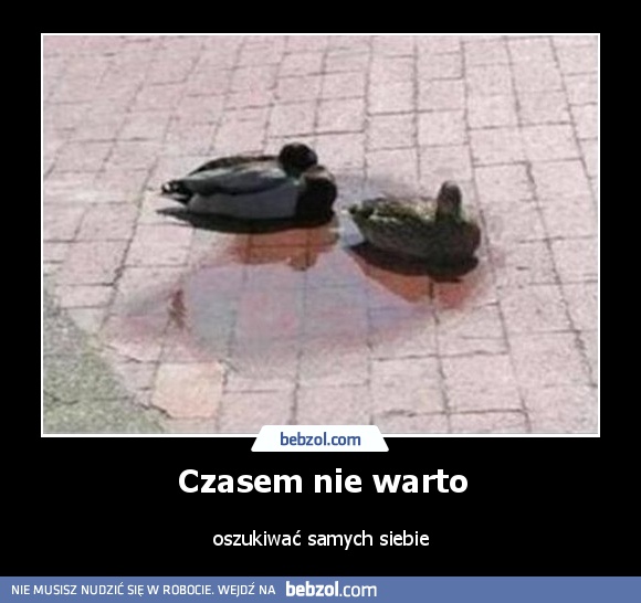 Czasem nie warto