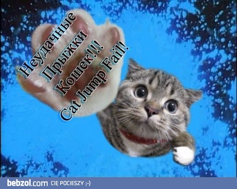 Super Jump Cat wideo Fail