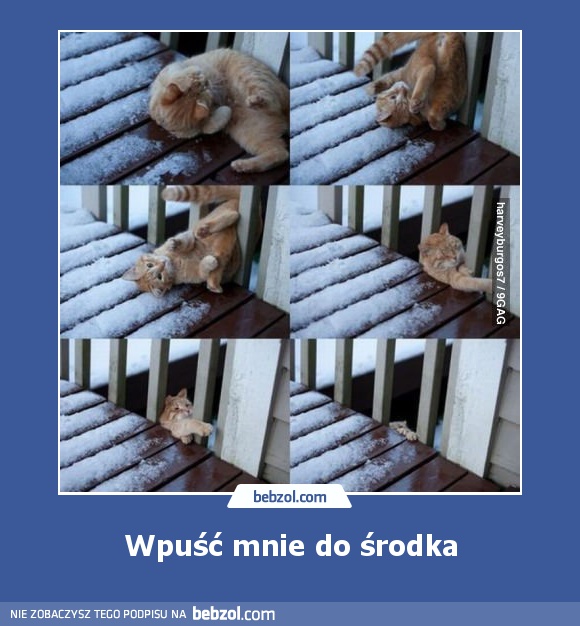 Wpuść mnie do środka