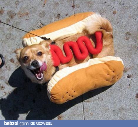 On jeszcze nie wie...