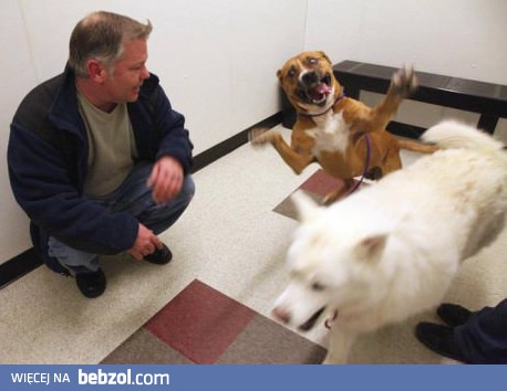 Ja jej nie dotykałem, łapki mam tutaj 