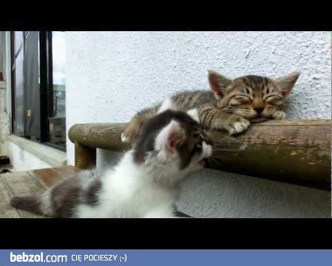 Weekendowy odpoczynek