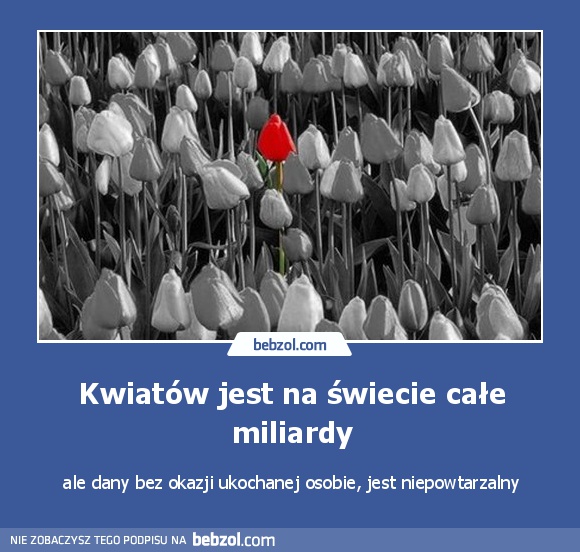 Kwiatów jest na świecie całe miliardy