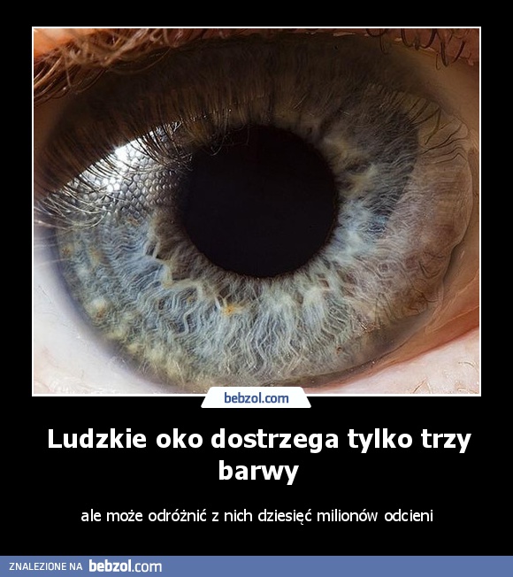 Ludzkie oko dostrzega tylko trzy barwy
