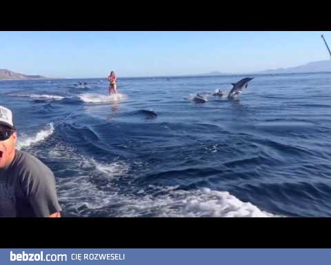 Narty wodne z niespodzianką