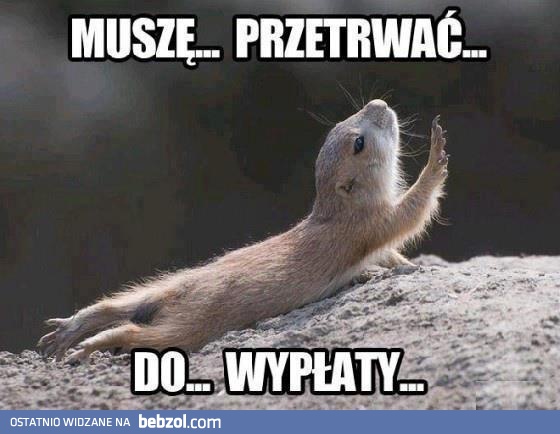 Muszę... Przetrwać...