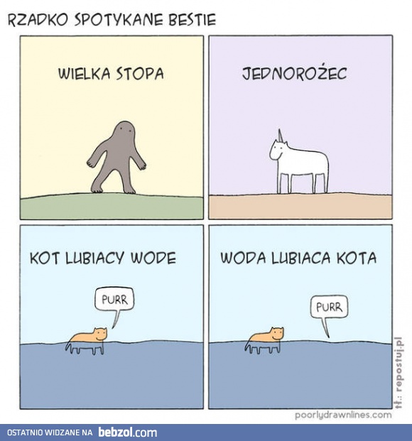 Rzadko spotykane bestie