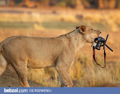 Prosiłem, żeby nie robili mi zdjęć