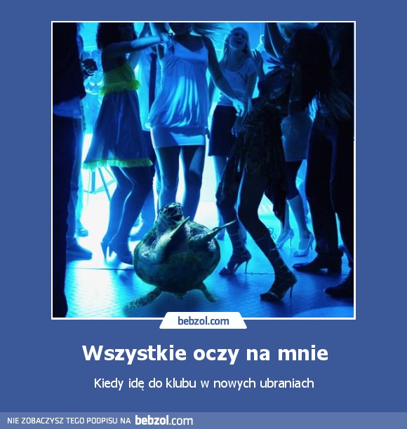 Wszystkie oczy na mnie