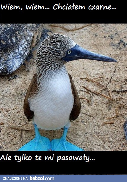 Jak się nie ma co się lubi...