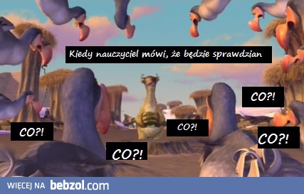 Zapowiadam sprawdzian