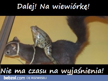 Liczy się współpraca