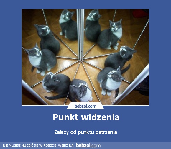 Punkt widzenia