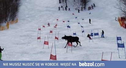 Tymczasem w Kanadzie