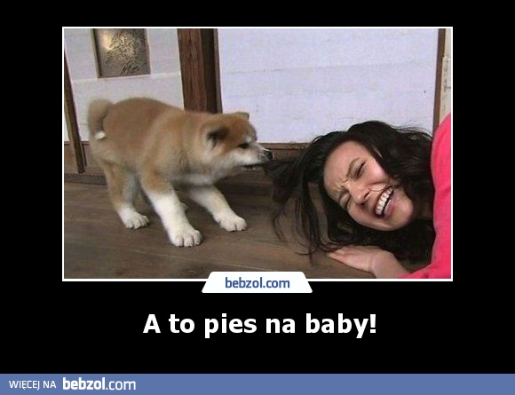 A to pies na baby!