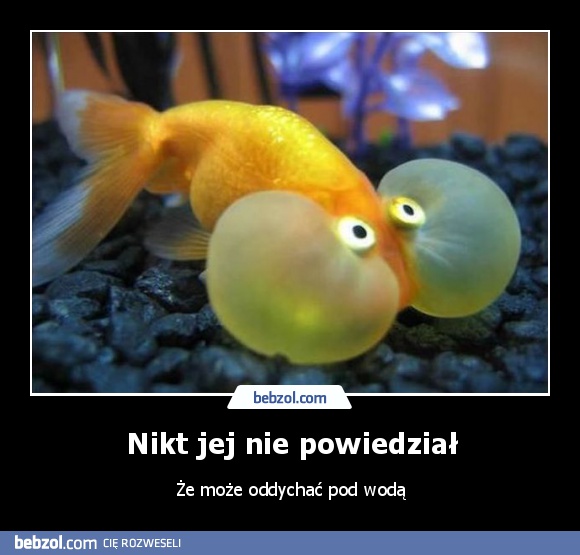 Nikt jej nie powiedział