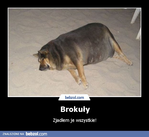 Brokuły