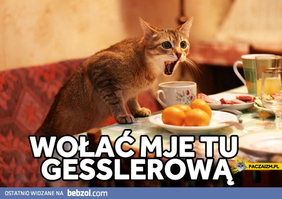 Wołać Gesslerową!
