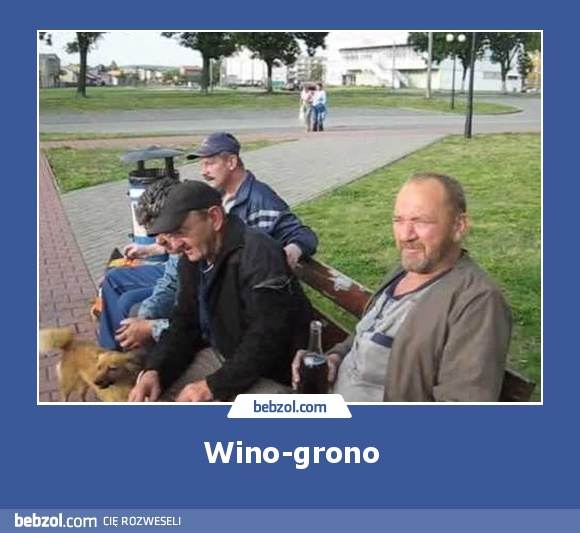 Wino-grono