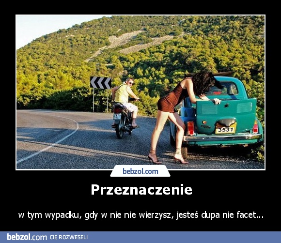 Przeznaczenie