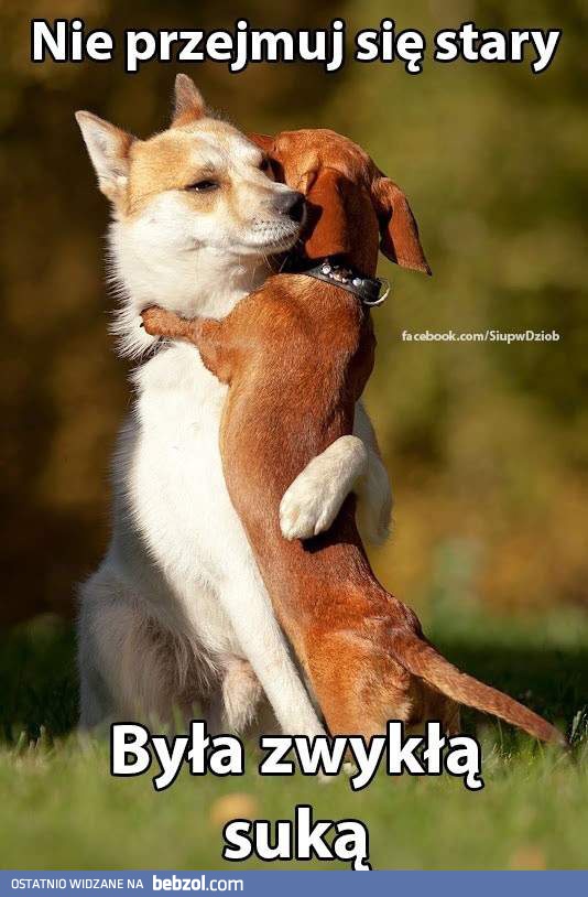 Nie przejmuj się stary!